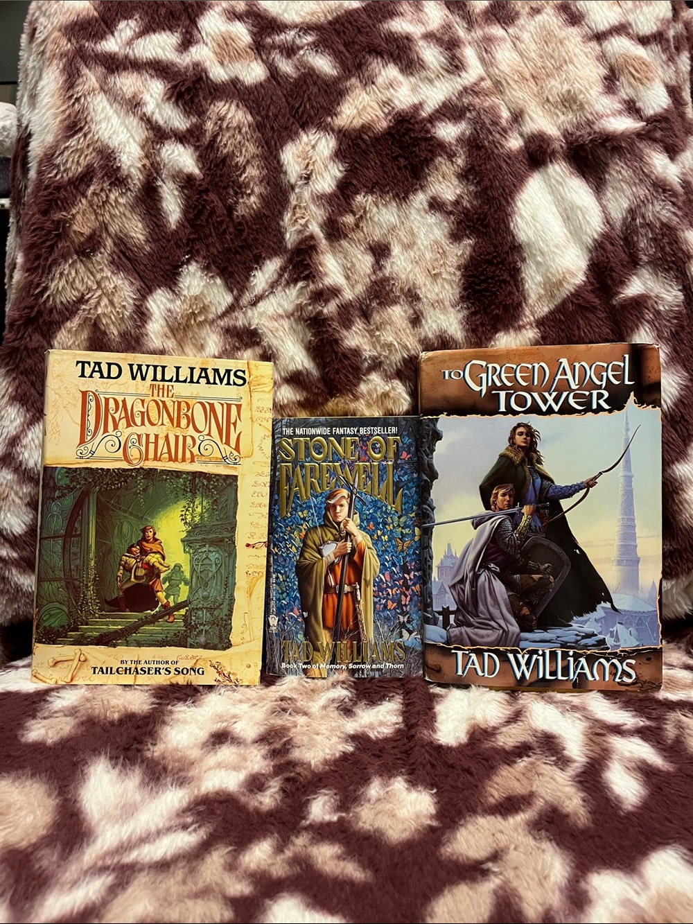 Memory, Sorrow and Thorn Trilogy by Tad Williams